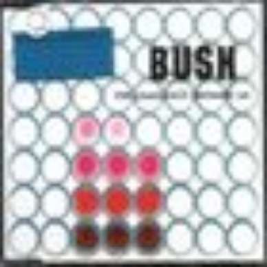 BUSH ECD S CHEMICALS BETWEEN US DUTCH SEALED +STICKER